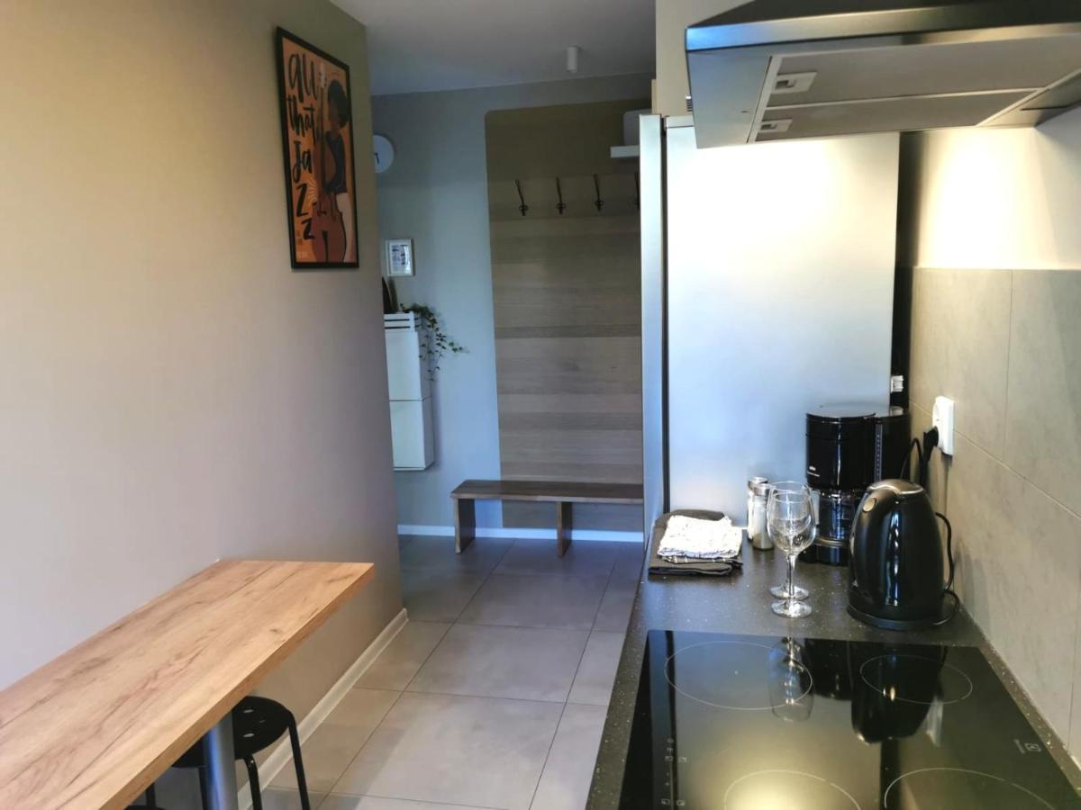Apartament Wygoda Old Town Deluxe Wawelofts Cracovie Extérieur photo